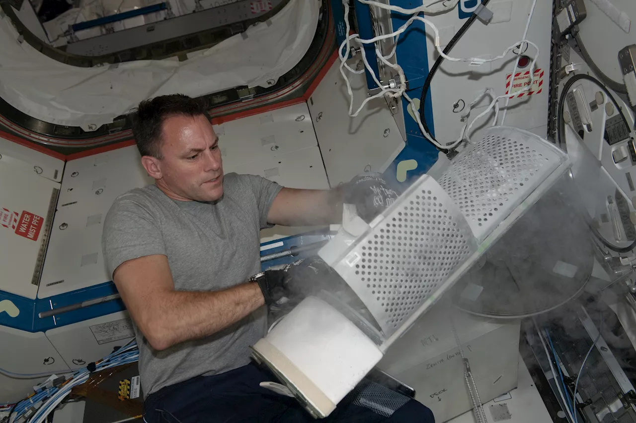 Space Station Research Reveals Insights into Plant Viablity and Human Adaptation to Space