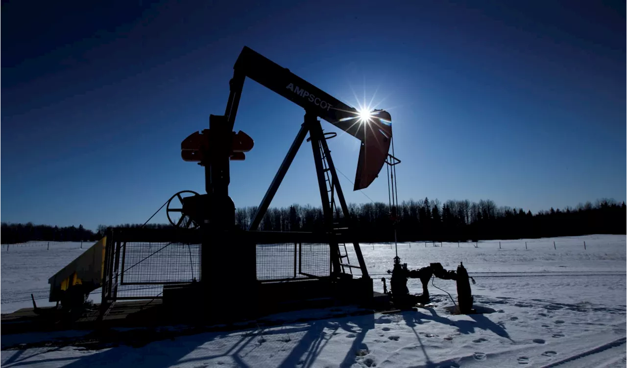 Oil Prices Expected to Fall Despite Initial Tariffs Jump