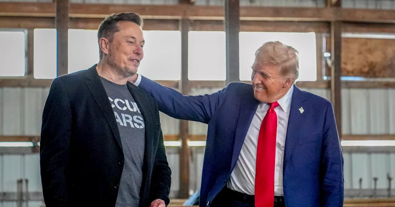 Elon Musk Joins Trump Administration as Special Government Employee