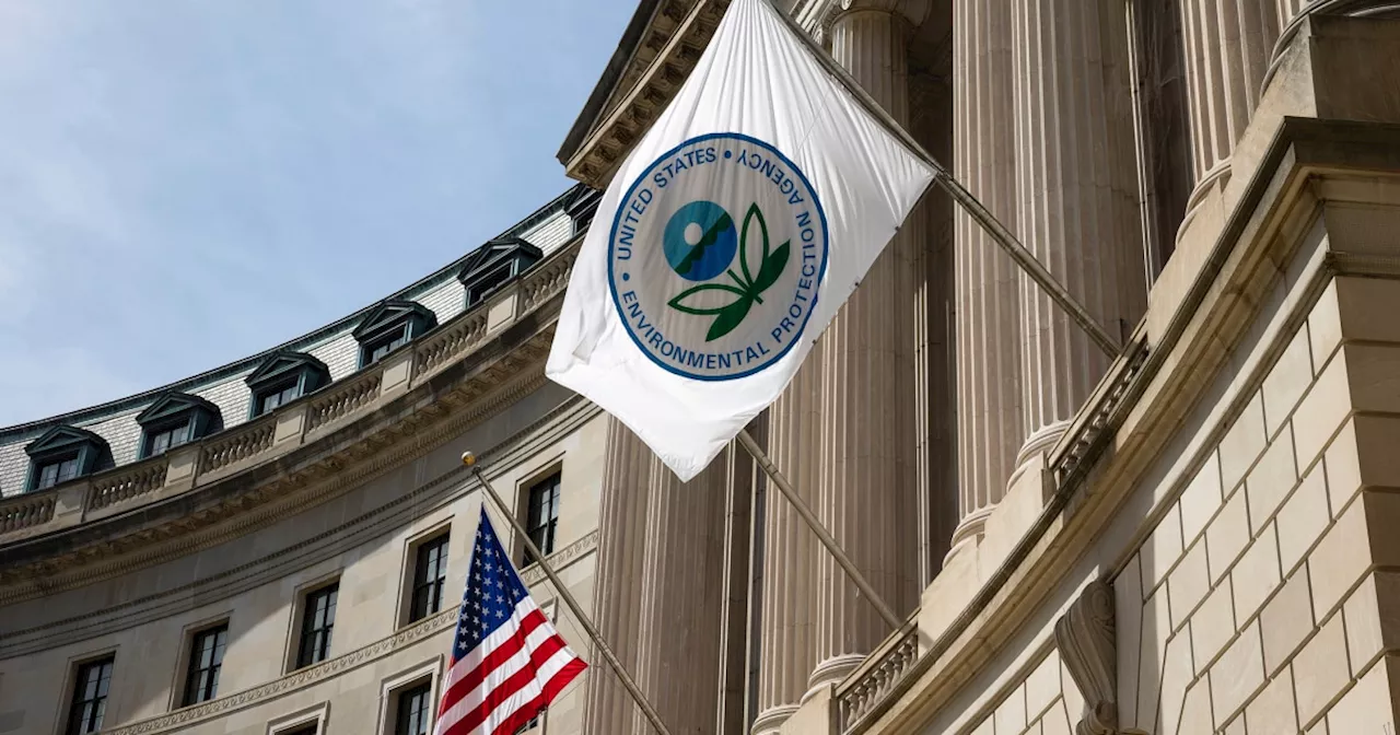 Trump EPA Notifies Over 1,000 Employees of Potential Immediate Dismissal