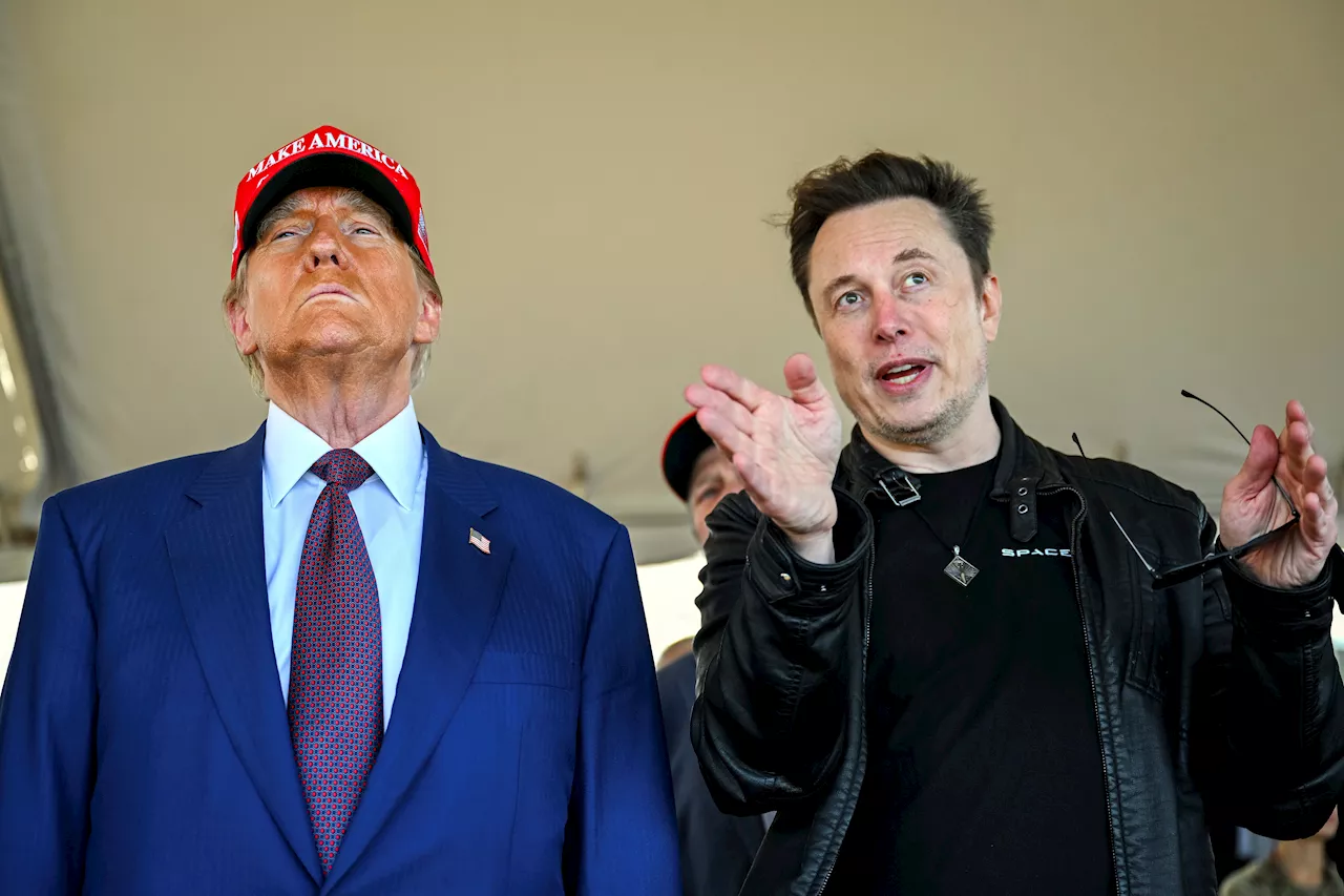 White House says Elon Musk serving as a ‘special government employee'