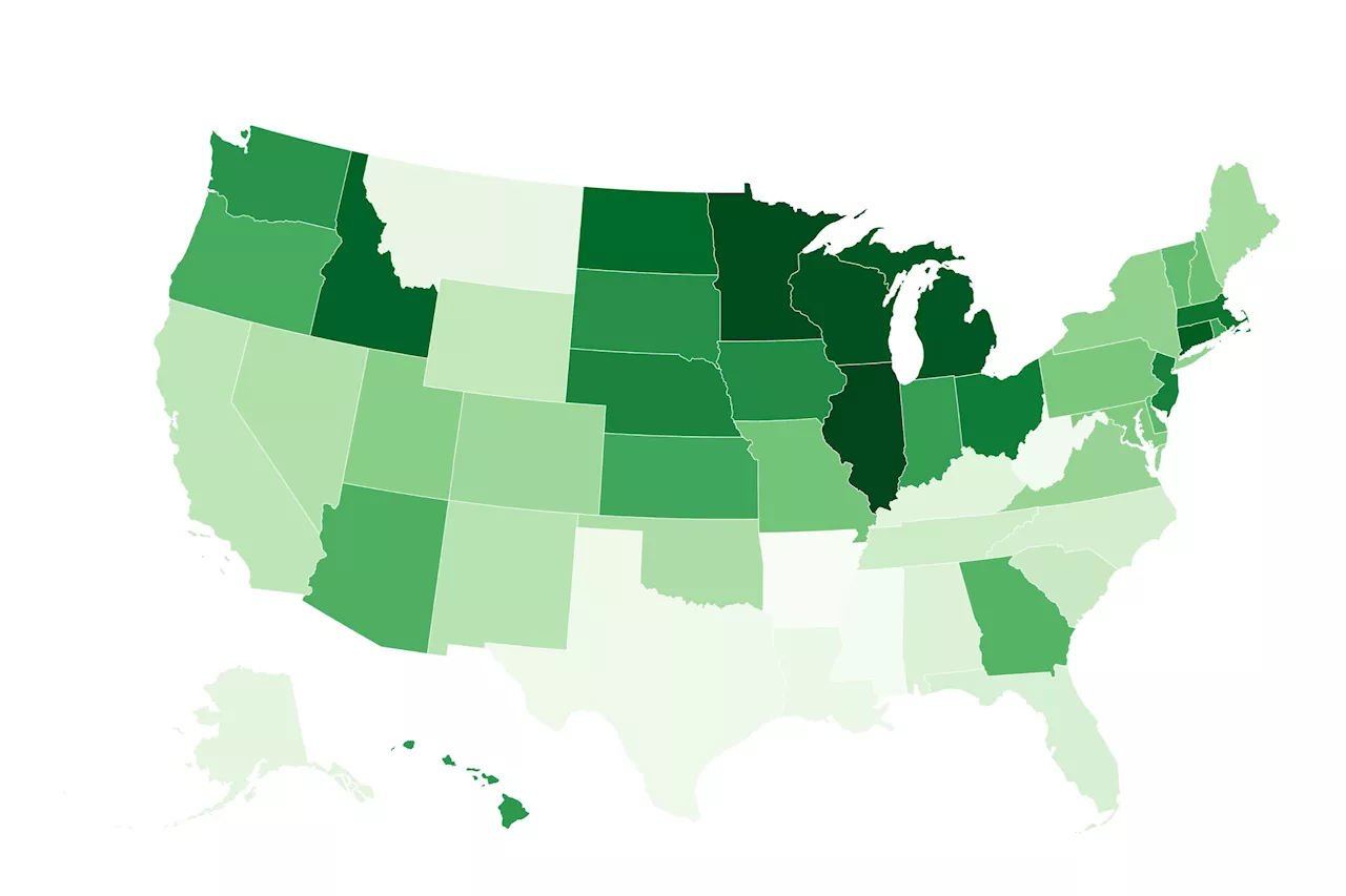 Illinois Tops List for Best Dental Health, WalletHub Report Finds