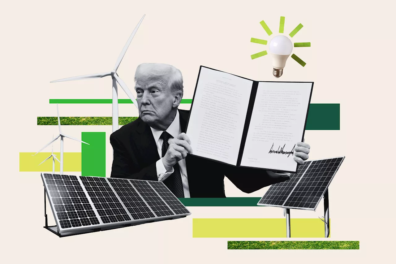 Renewable Energy Sector Navigates Shifting Political Landscape Amidst Trump's Energy Agenda