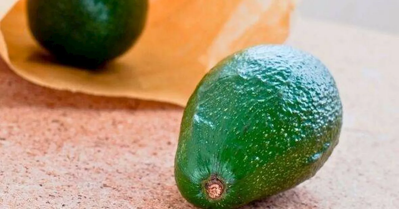 Don't Bake Your Avocado: The Kitchen Whisperer's Guide to Perfectly Ripened Fruit