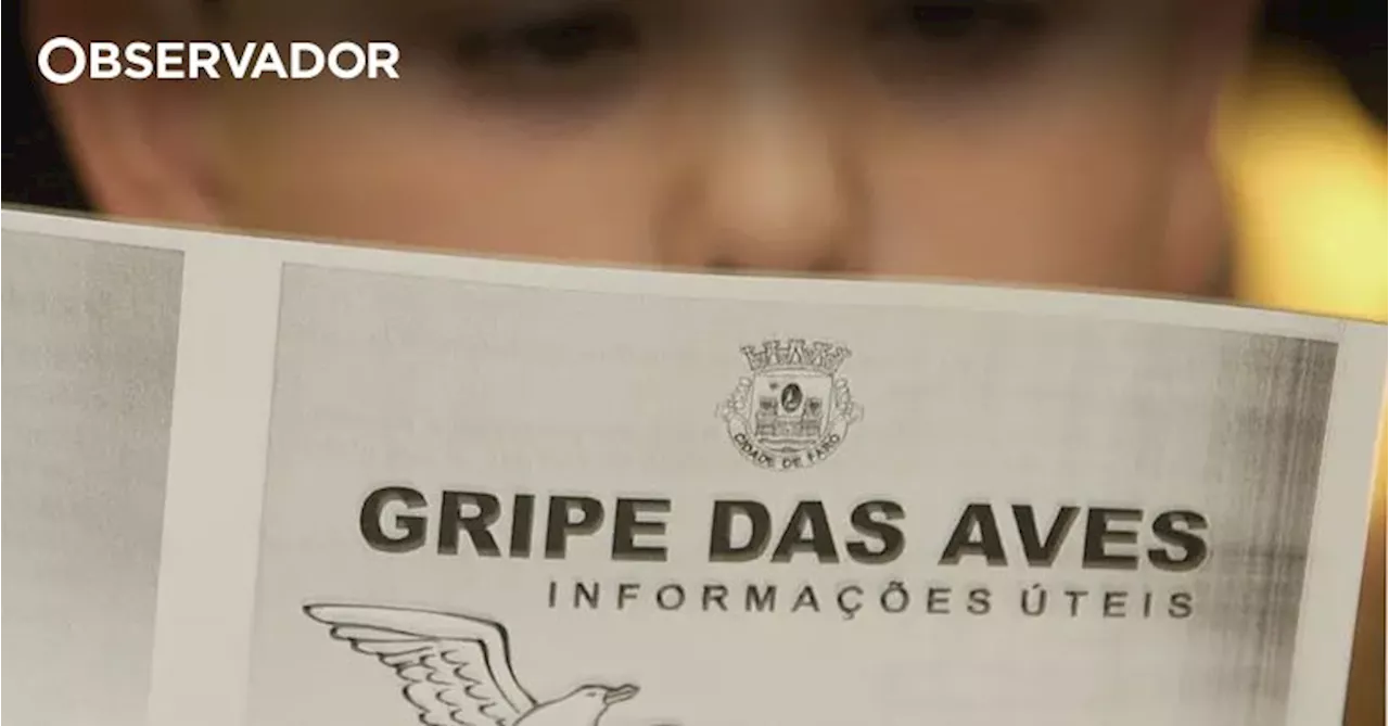 Gripe Aviária Detectada em Capoeira e Ave Selvagem em Portugal