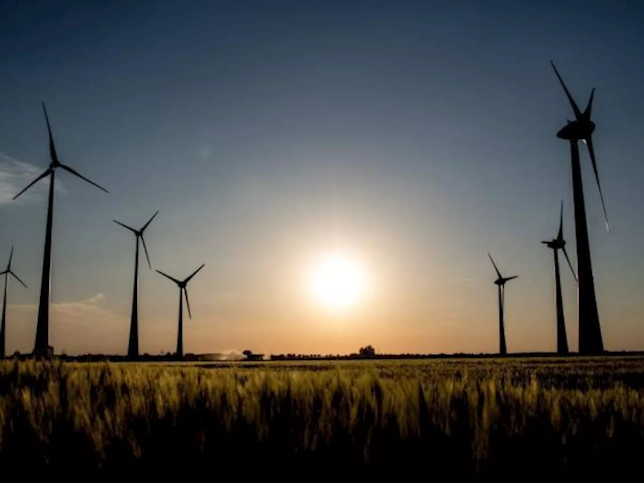 En 2025 la capacidad de generación con energías renovables llegaría a 2.550 MW