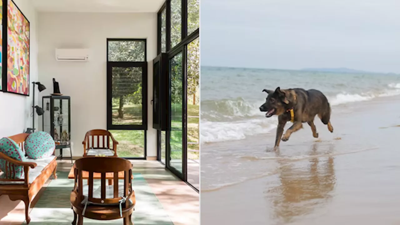 8 Pet-Friendly Stays In Malaysia