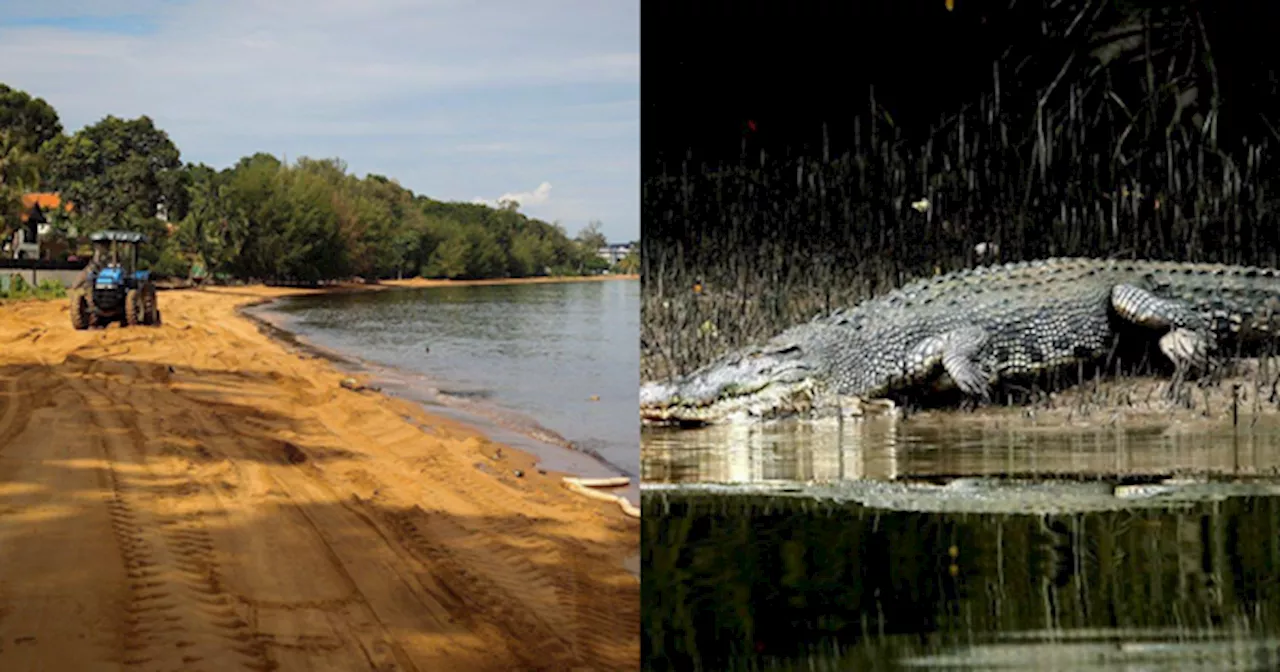 Crocodile Spotted at Pantai Cermin, Negeri Sembilan, Authorities Issue Warning