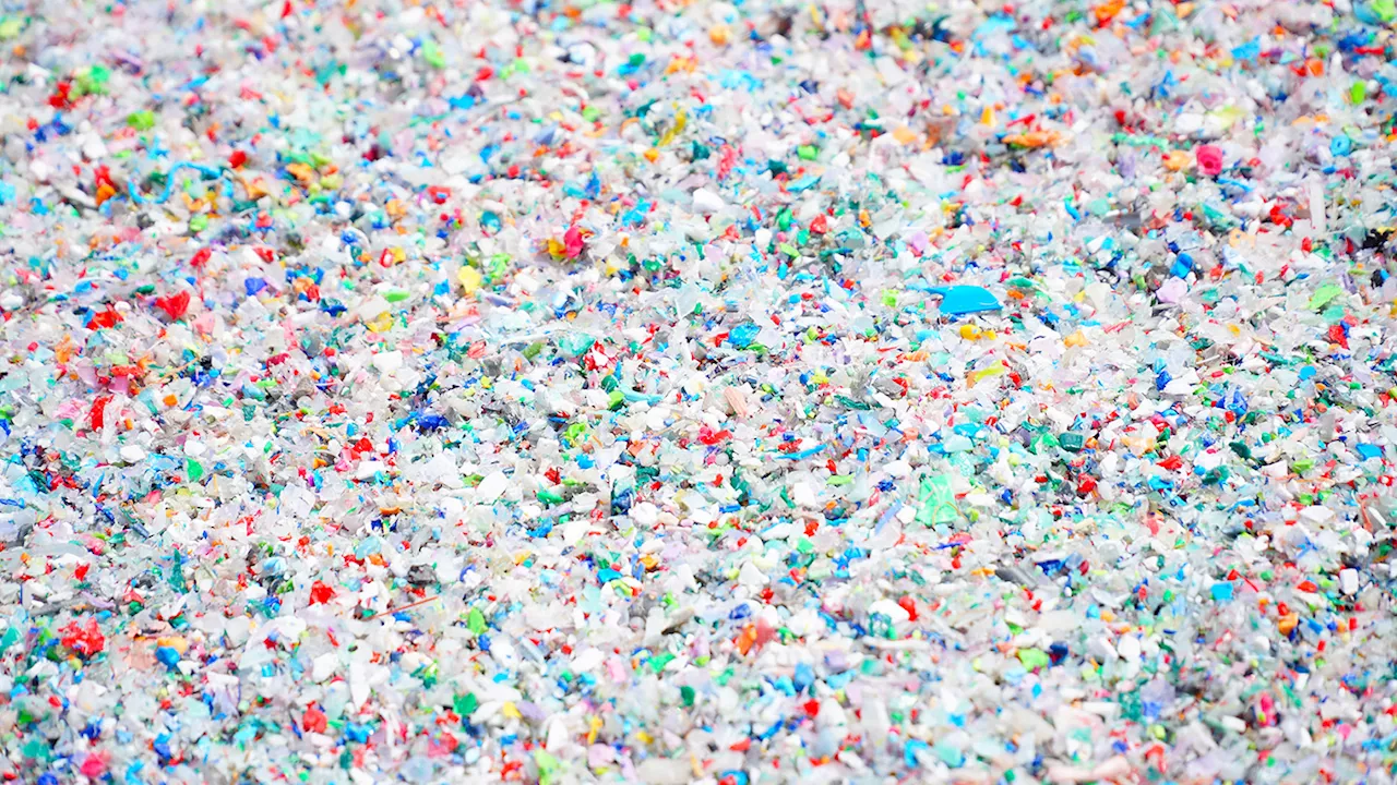 Microplastics and Nanoplastics Found in High Concentrations in Human Brain Tissue