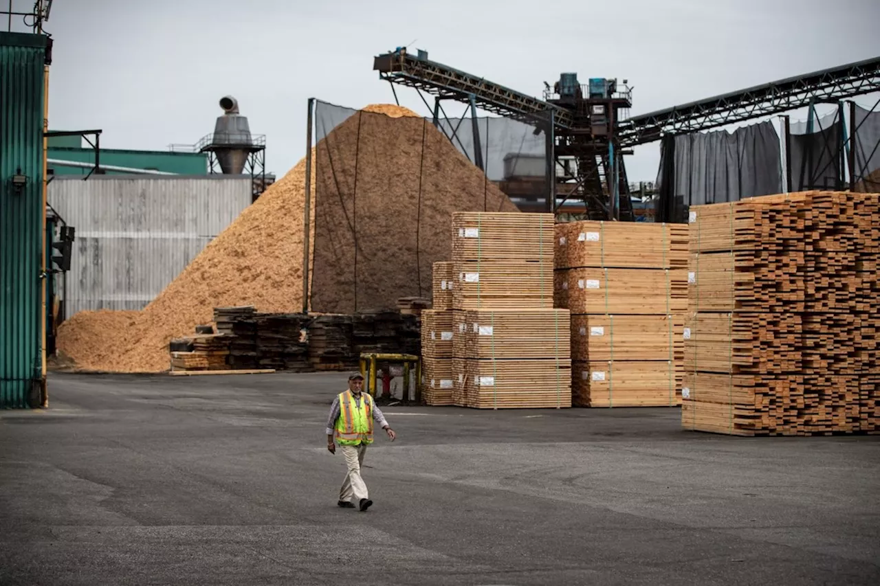 Trump Lumber Tariffs Cast Shadow Over Canada's Forestry Sector