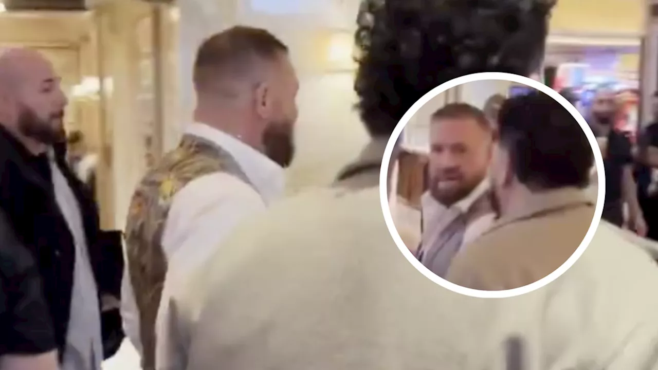 Conor McGregor Allegedly Spits at Khabib Nurmagomedov Fan in Shocking Clip