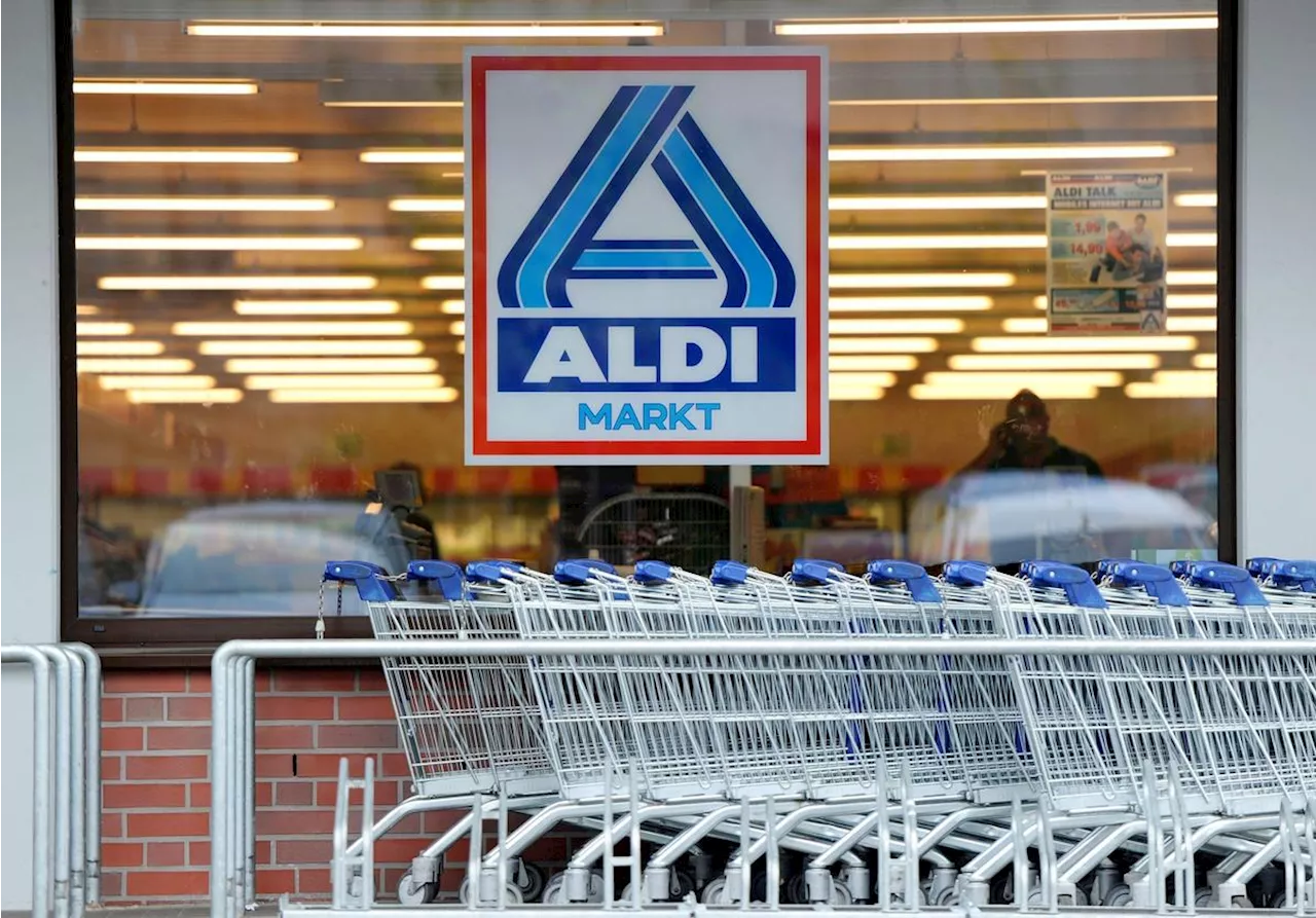 « Des souris campent dans les aliments et y font leurs besoins » : Aldi sommé de dératiser une centrale logistique