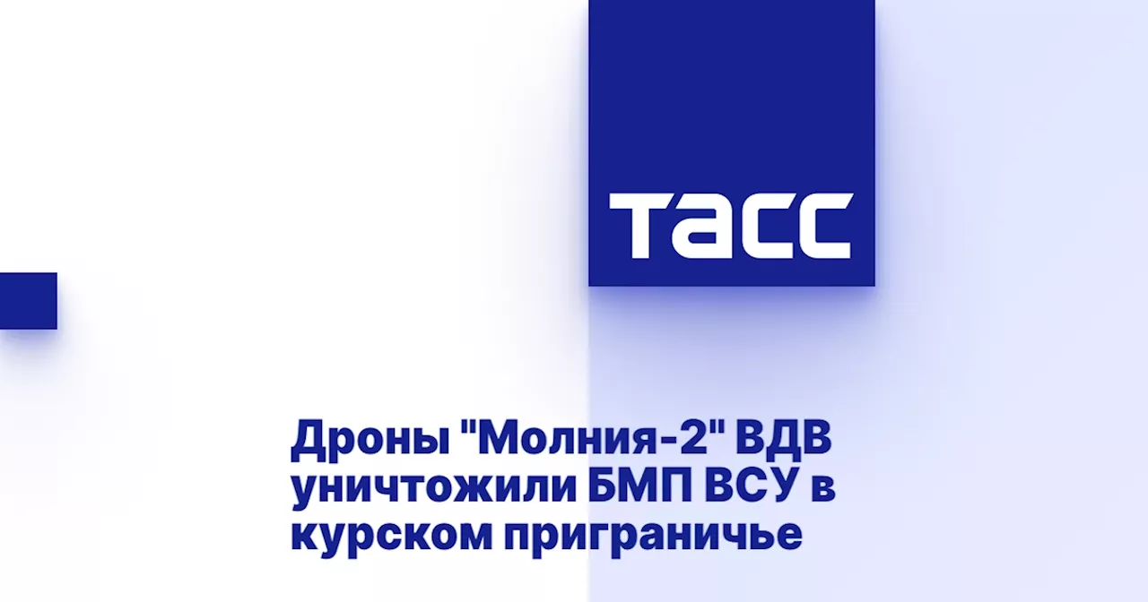 Российские десантники уничтожили БМП ВСУ с помощью дрона 'Молния-2'