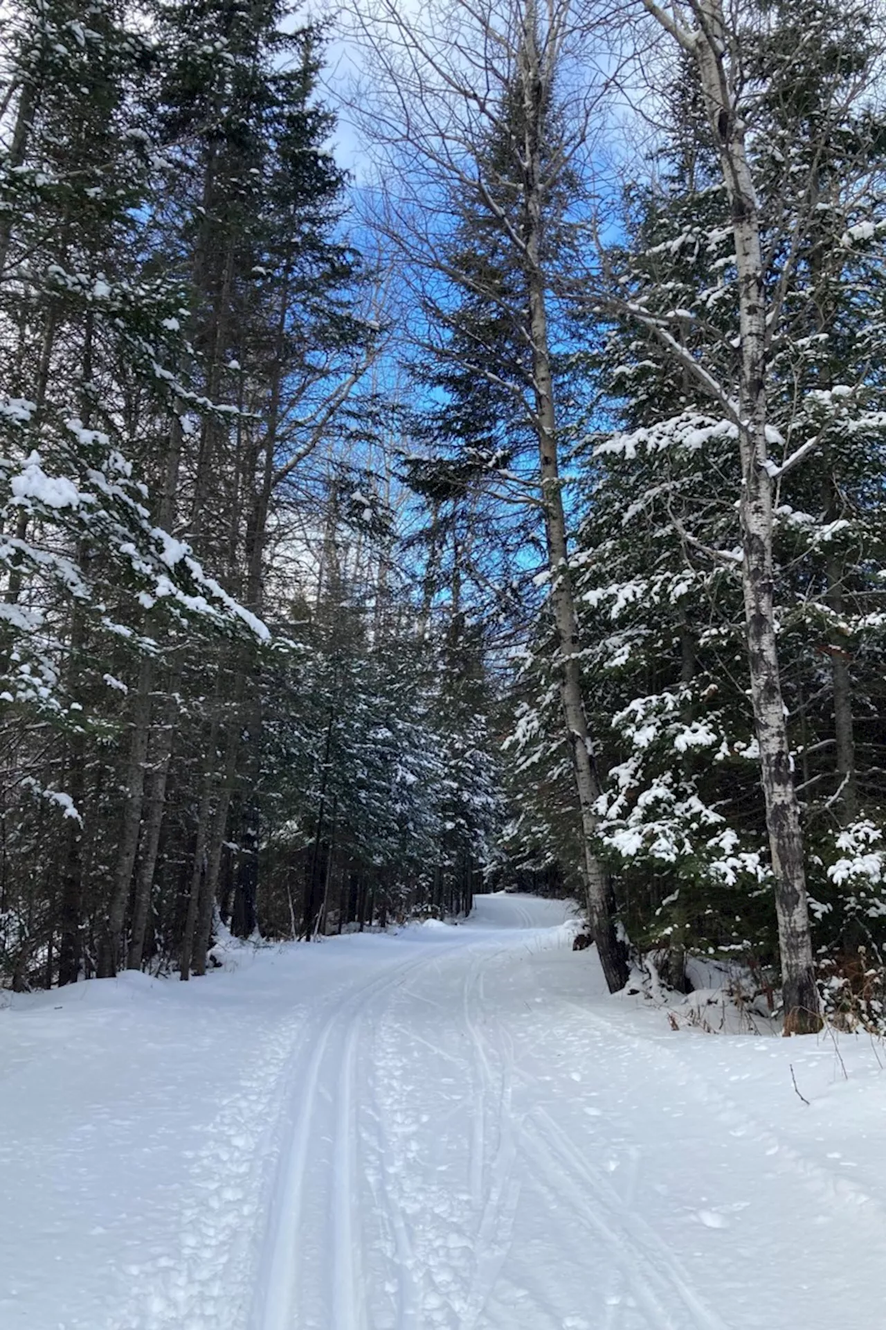 Good Morning Thunder Bay: Embracing the Heart of Winter