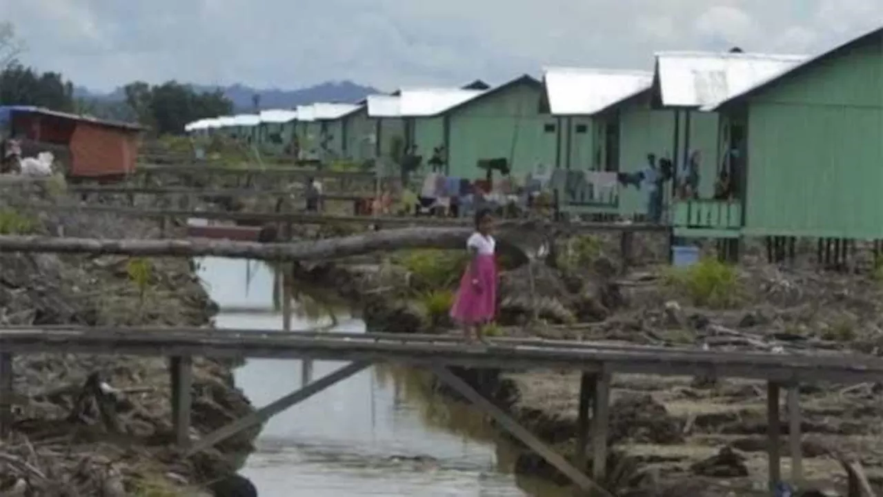 Transmigrasi Era Prabowo: Fokus Pembangunan Kawasan dan Food Estate