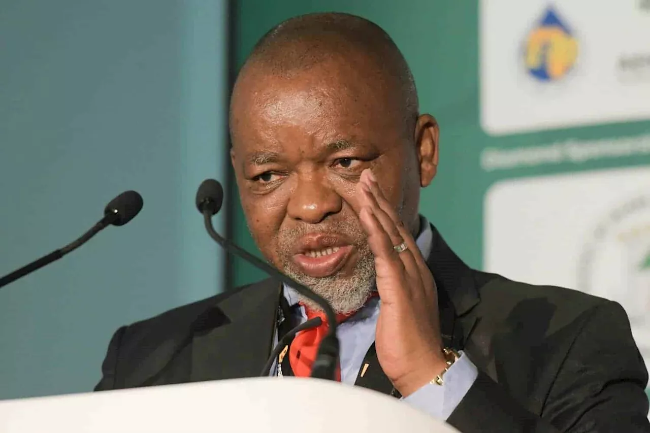 Mantashe Calls for African Mineral Withholding in Response to US Funding Cuts