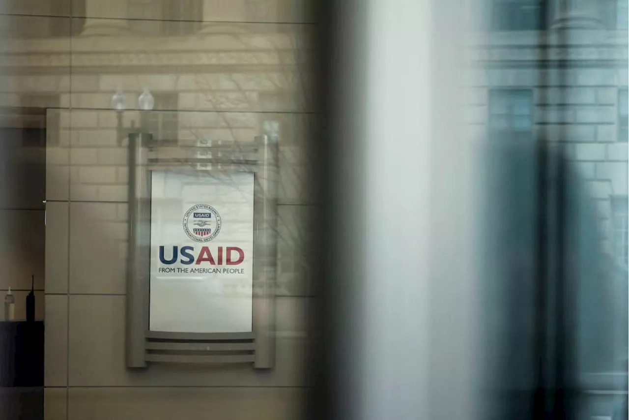 Musk Declares USAID a 'Criminal Organization' and Orders its Shutdown