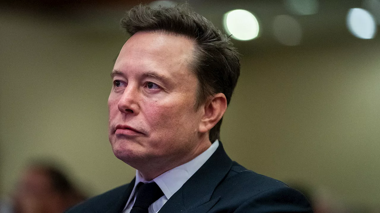 Elon Musk Offers Self $10 Billion Federal Buyout