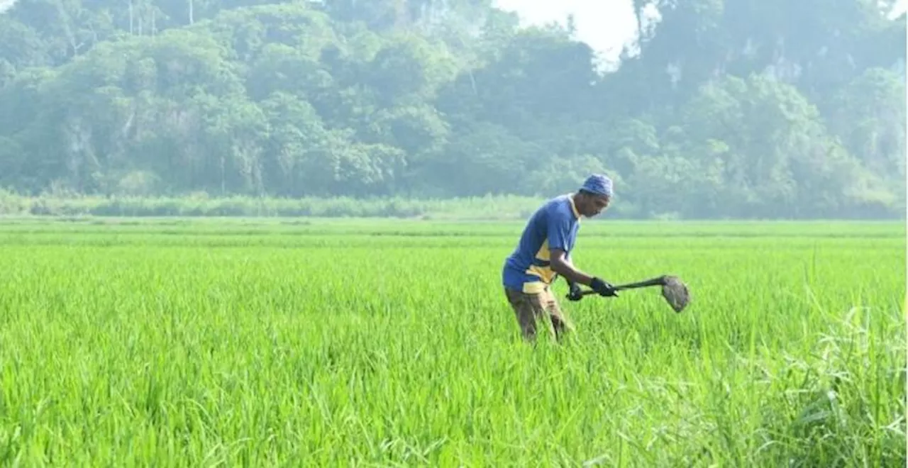 King Calls for Government Support for Farmers and Fishermen to Ensure Food Security