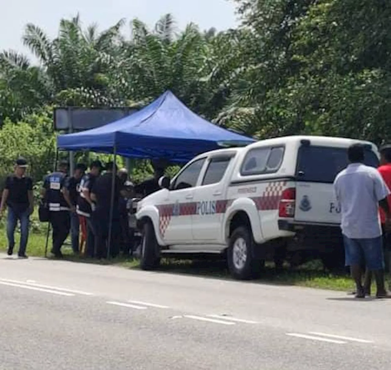 Rangka manusia ditemukan di ladang kelapa sawit