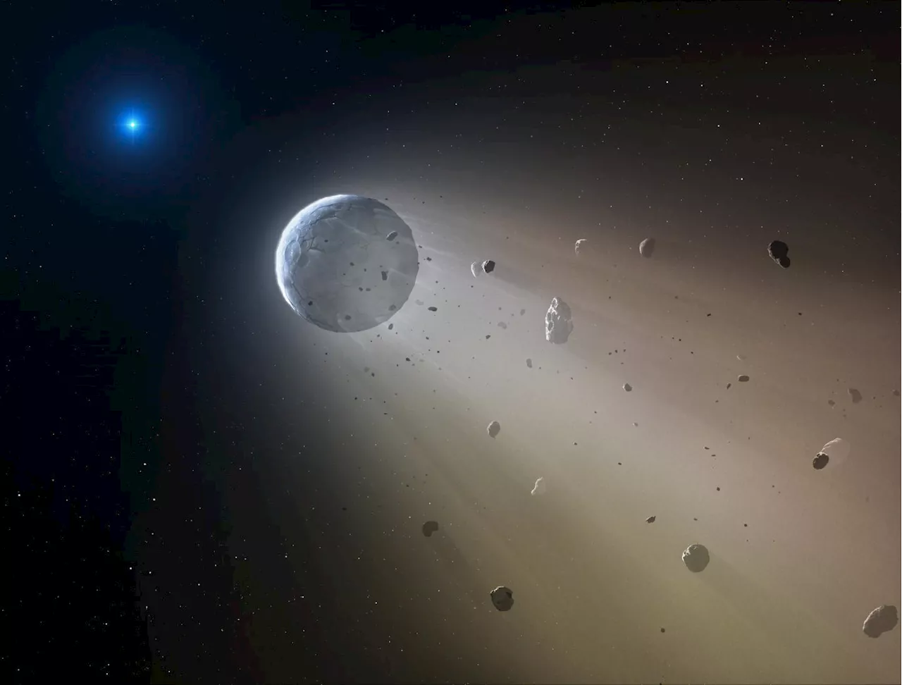 Could Life Thrive on White Dwarf Planets?