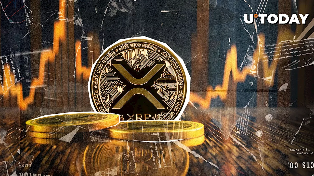 XRP Rebounds 31% After $2.2 Billion Wipeout, But Is It a Dead Cat Bounce?