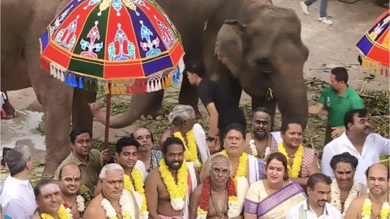 Menhut Raja Juli Siapkan 2 Gajah saat Peresmian Kuil Hindu Terbesar di Indonesia