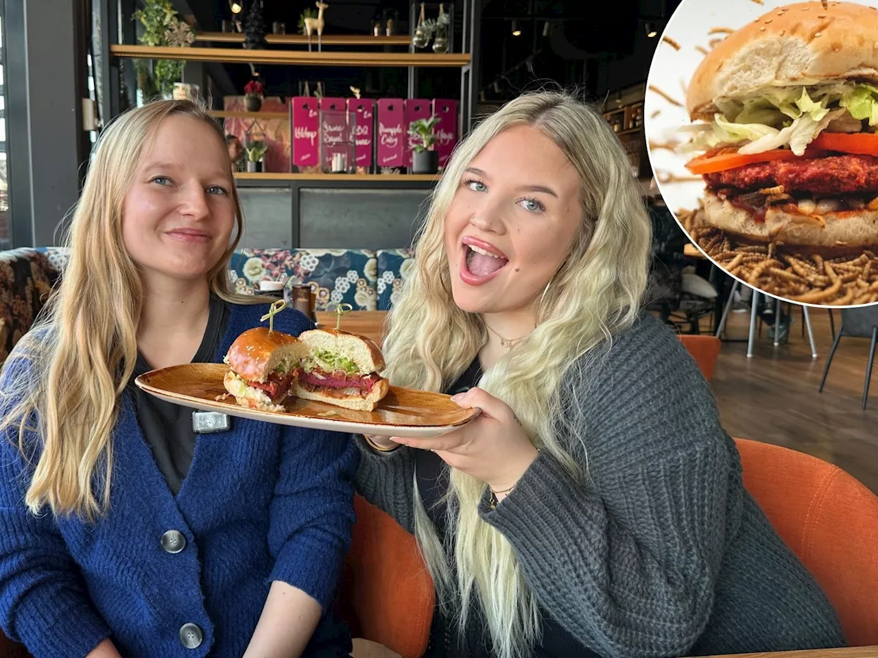 Von der Larve zum Leckerbissen? So schmeckt der neue Mehlwurm-Burger