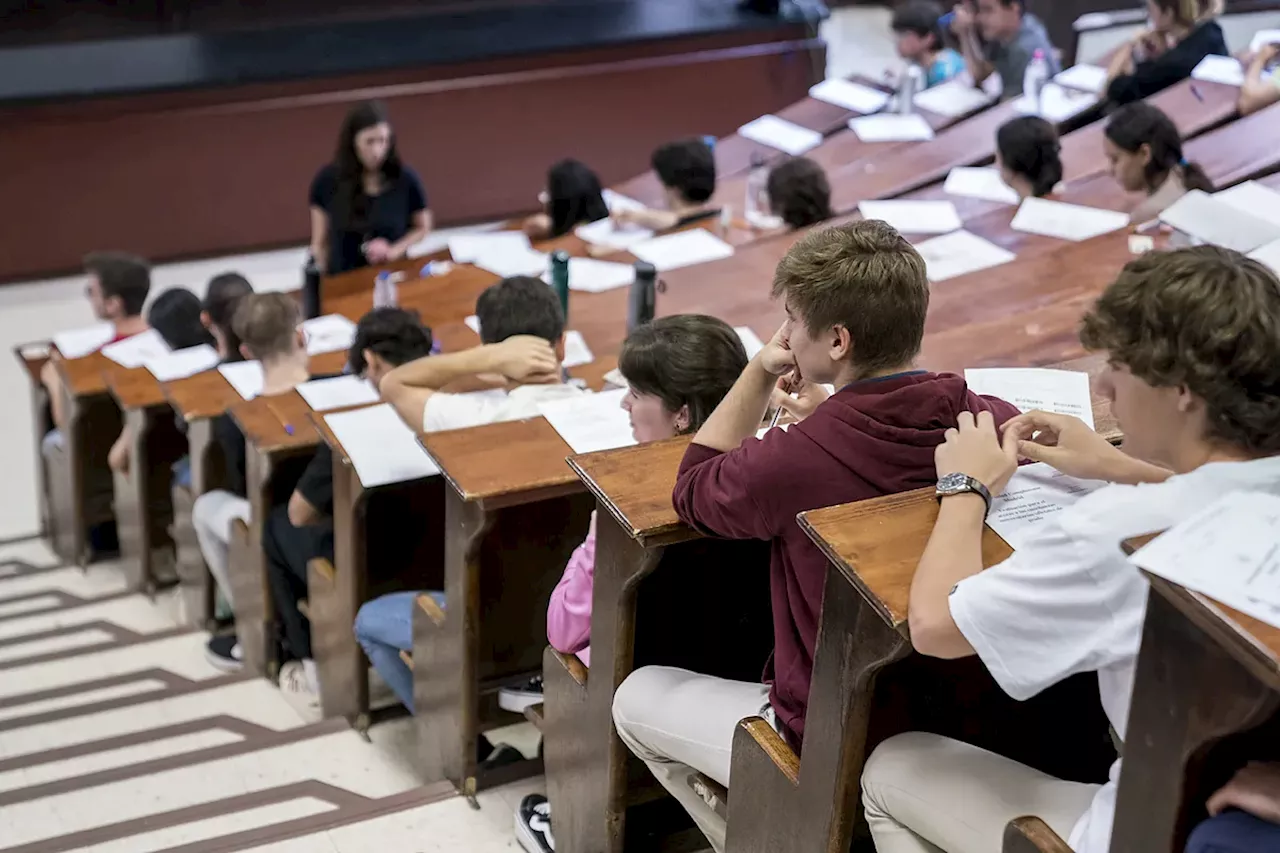 55 universidades llaman a cambiar la gramática contra el 'sexismo lingüístico': instan a sustituir el término genérico 'hombre' por 'ser humano'