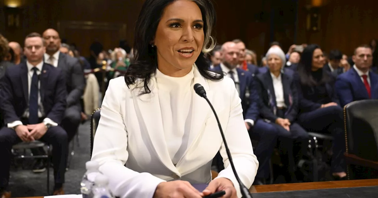 Gabbard Gains Support from Key Senator for DNI Position