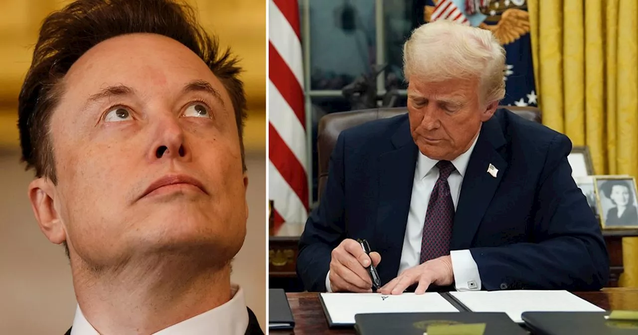 Musk släpps in i känsligt system: ”Är galet farligt”