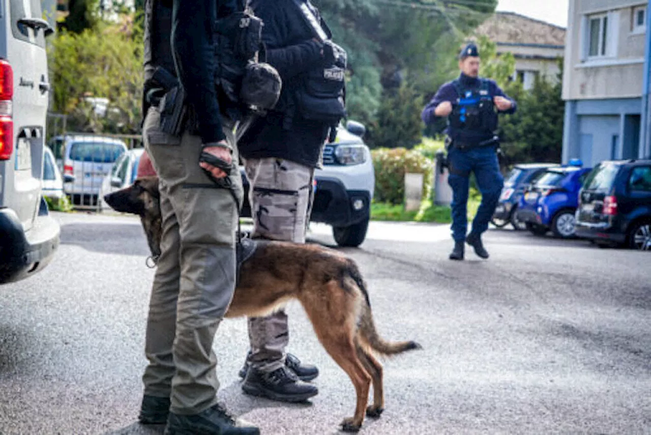 Lagny-Chessy: Un homme arrêté après une perquisition surprise