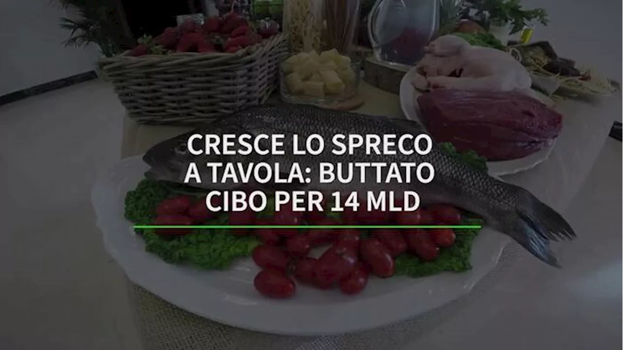 Cresce lo spreco a tavola: buttato cibo per 14 miliardi