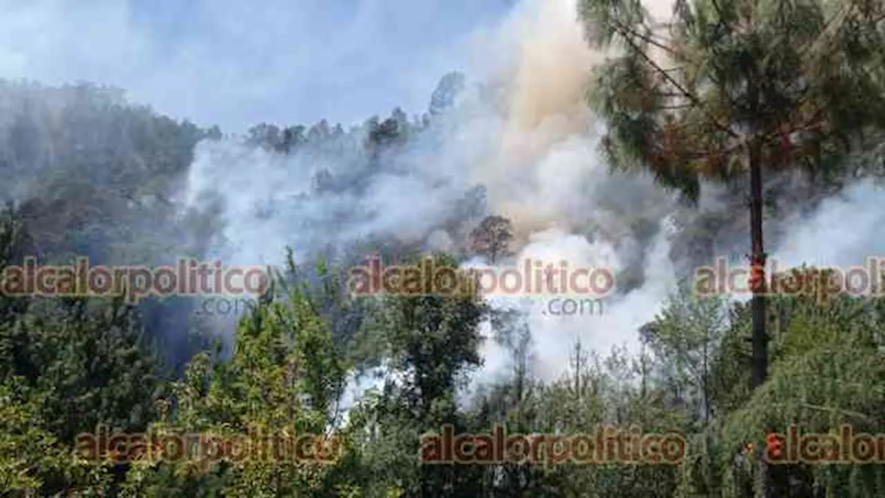 Veracruz entre las entidades con mayor superficie quemada por incendios