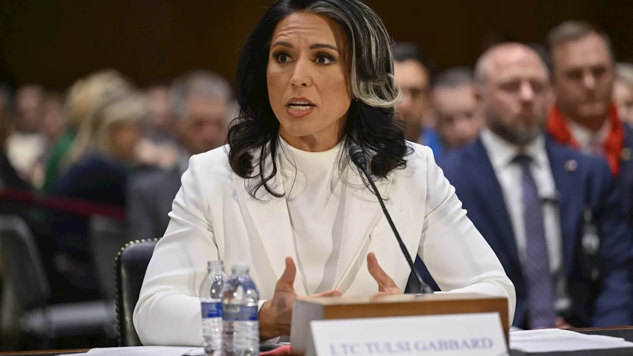 Tulsi Gabbard, Trump's pick to oversee US spy agencies, clears Senate committee