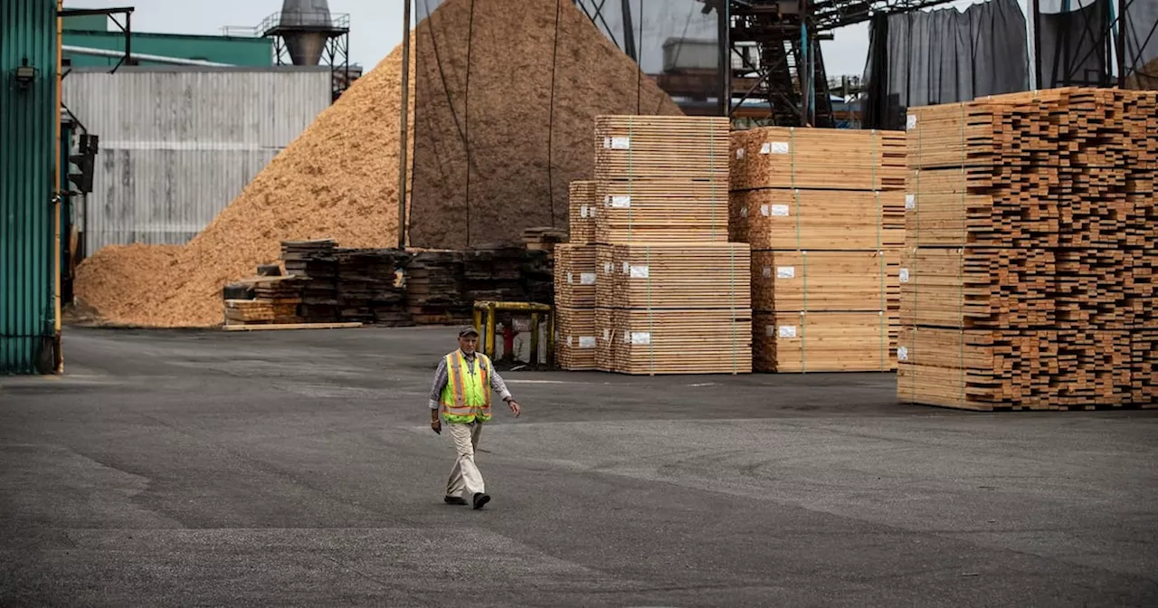 Canada's forestry sector faces uncertainty with 25 per cent U.S. tariffs