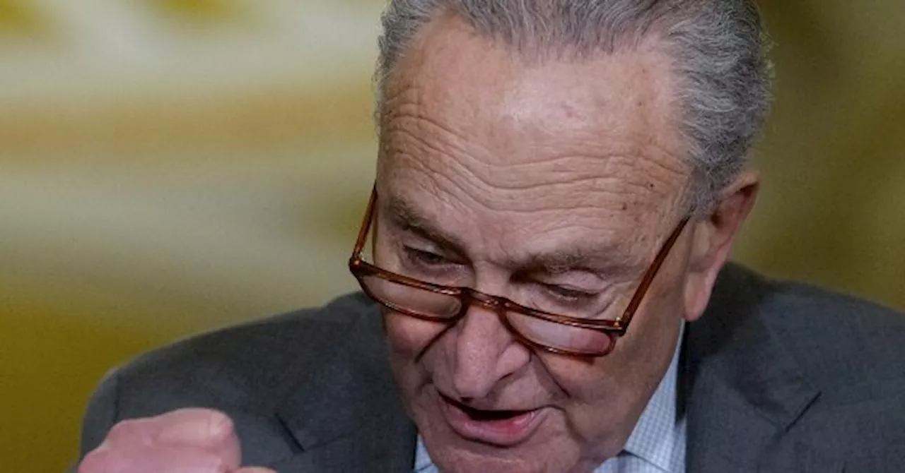 Watch: Chuck Schumer, Dems Attack Musk over DOGE Reviewing Treasury Payment System