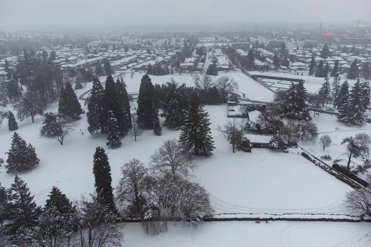 Heavy Snow Shuts Schools, Disrupts Travel in British Columbia