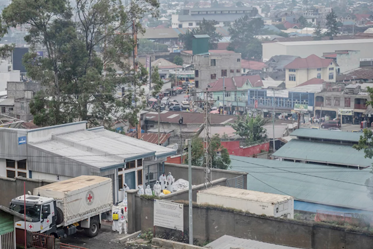 M23 Rebels Declare Ceasefire in Congo as Death Toll Climbs to 900