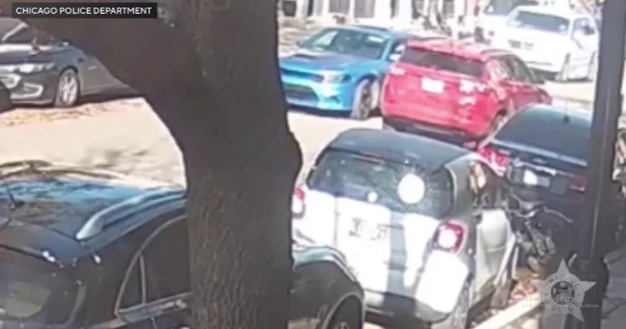 Surveillance Video Released in Deadly Chicago Shooting