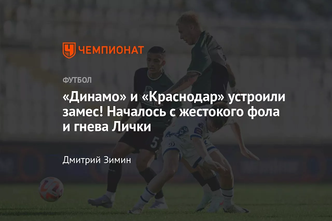 «Динамо» и «Краснодар» устроили замес! Началось с жестокого фола и гнева Лички