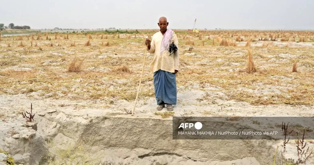 Indian Buffalo Herder Faces Drought Amid Soaring Temperatures