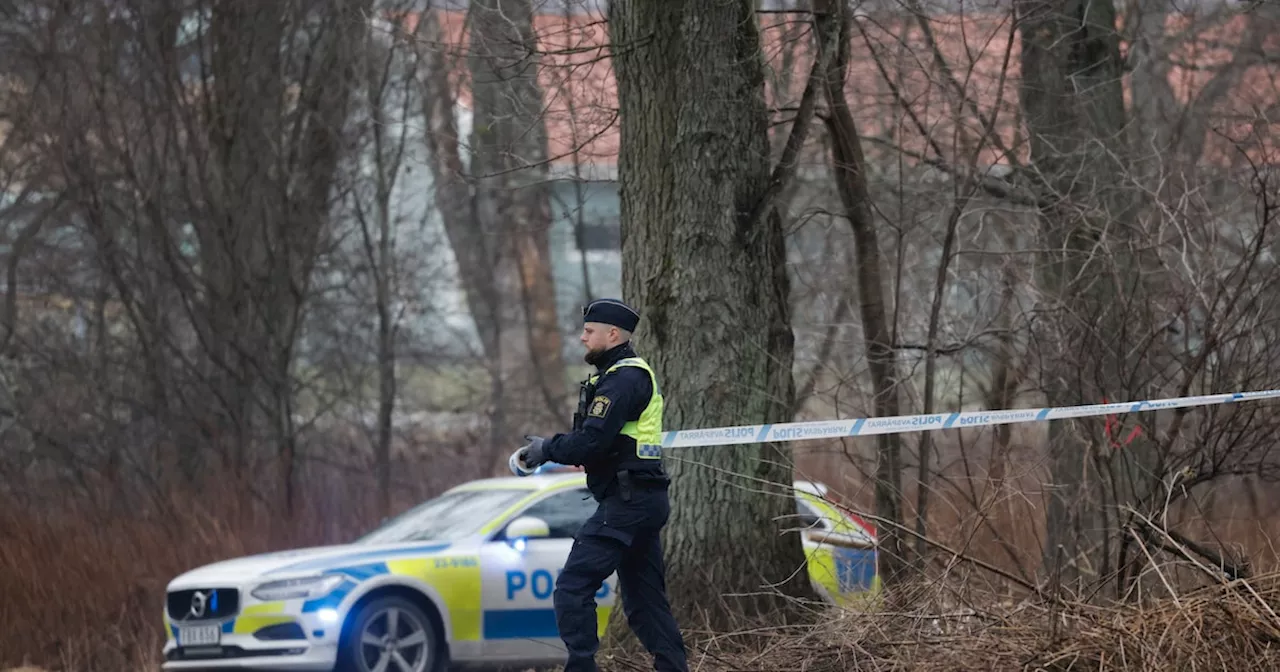 Sweden mass shooting: 10, including gunman, killed