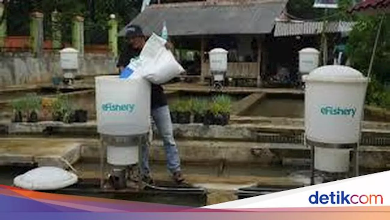 eFishery Libatkan FTI Consulting Sebagai Manajemen Sementara