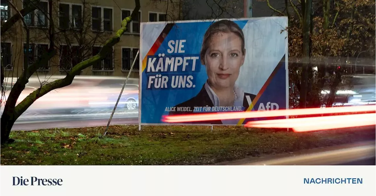 Welcher Ex-FPÖ-Funktionär die AfD mit 2,3 Millionen Euro für Plakate unterstützte