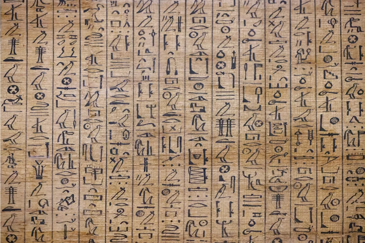 Edwin Smith Papyrus: Unveiling Ancient Egyptian Medical Knowledge