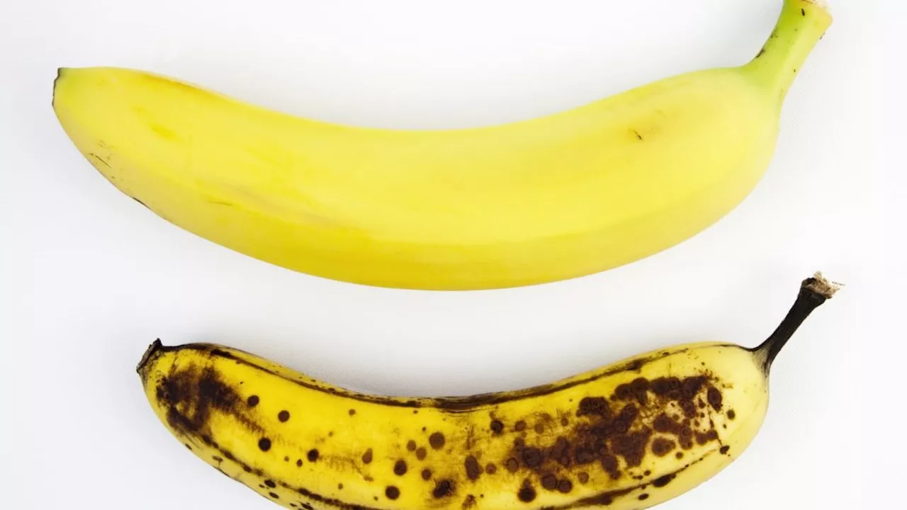 Banane verte ou mûre : quelles différences nutritionnelles ?