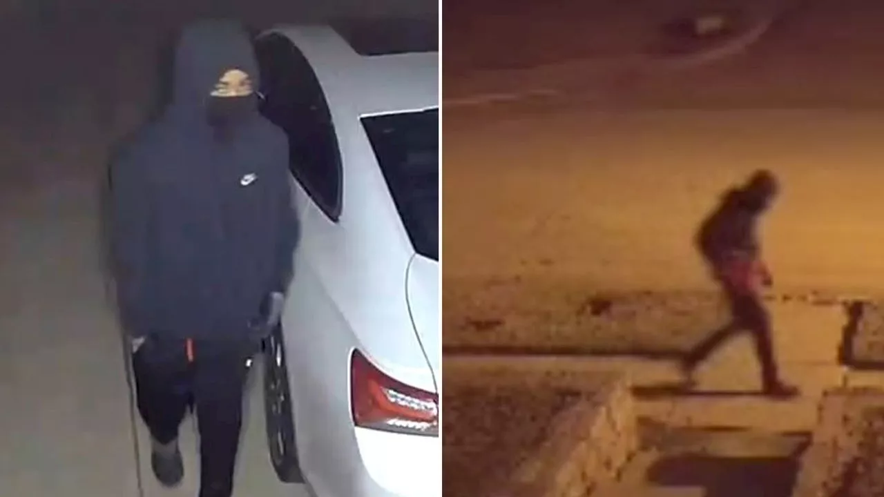 Rowlett car burglar returns from hiatus, hits 6 vehicles in 1 weekend