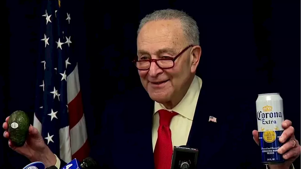 Schumer Criticized for 'Avocado and Beer' Trade War Response