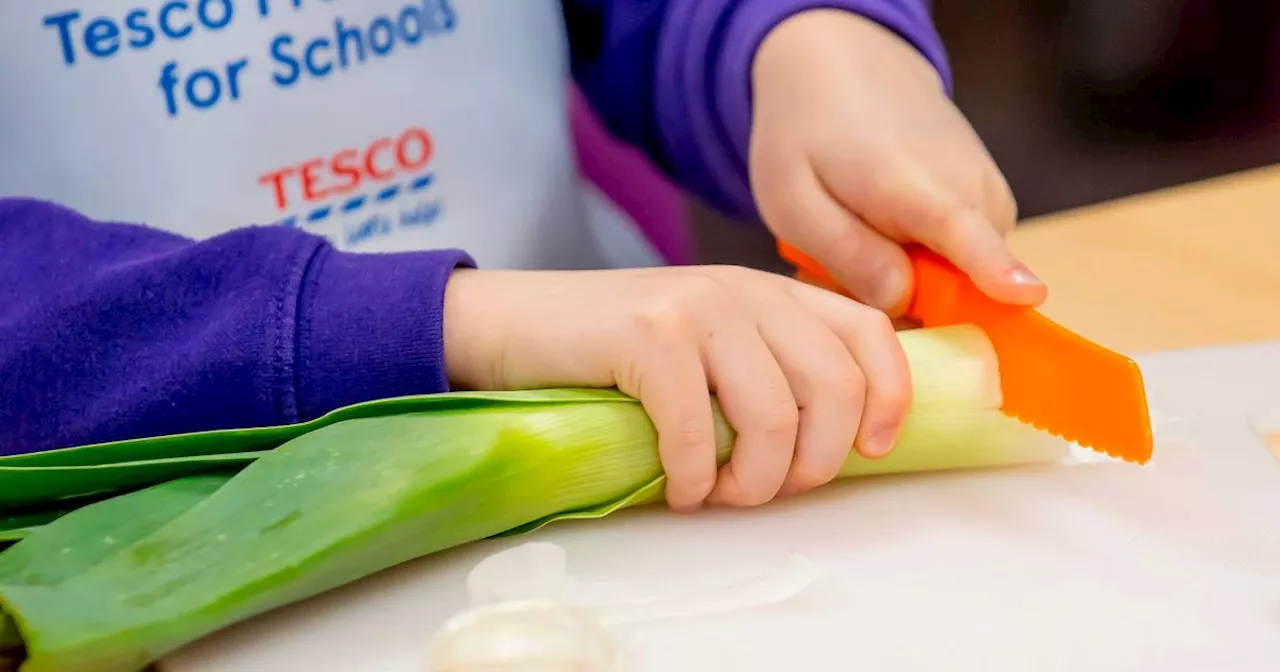 Tesco's Fruit and Veg for Schools Program: Nourishing Young Minds and Bodies